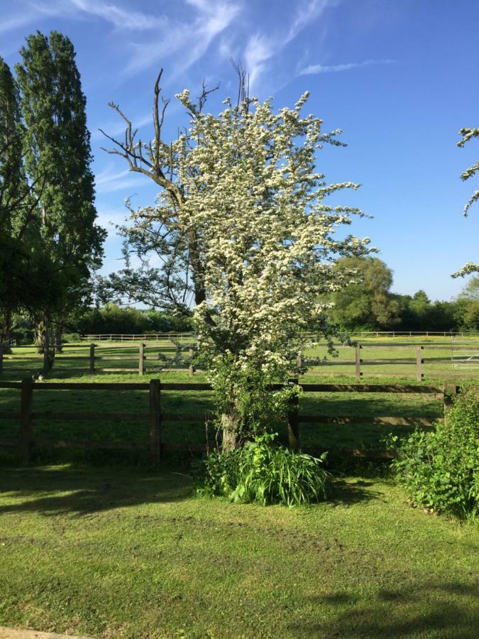Upper Wood End Farm Bed & Breakfast Marston Moreteyne Eksteriør bilde